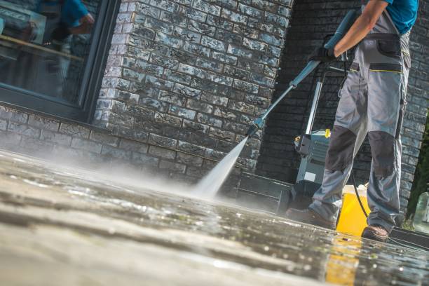 Best Building Exterior Washing  in Taylor Creek, FL