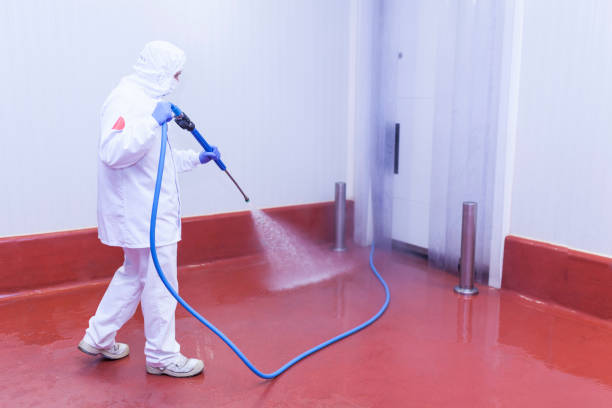 Best Animal Enclosure Cleaning  in Taylor Creek, FL
